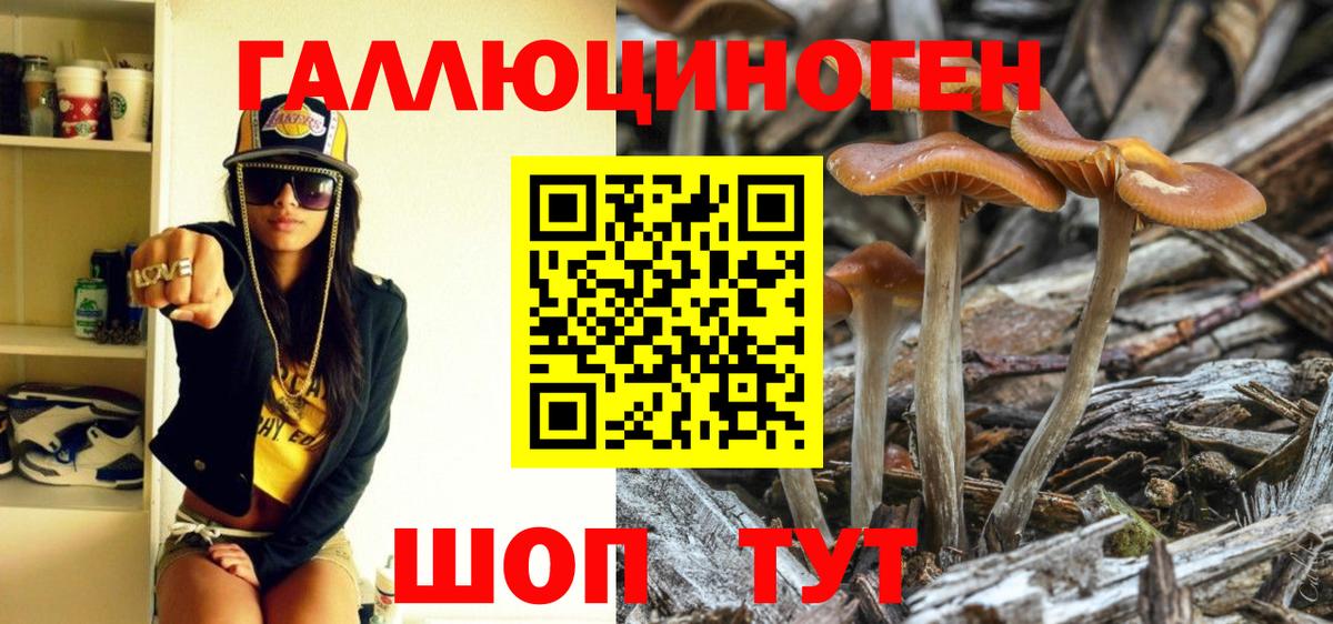 Псилоцибиновые грибы прущие грибы Ростов Великий