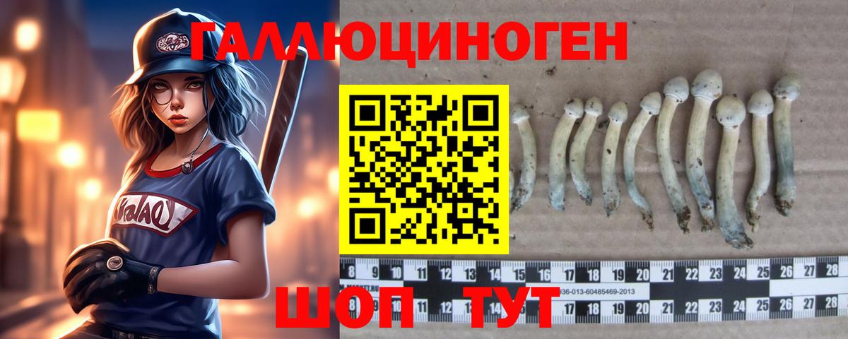 Галлюциногенные грибы мицелий  Псилоцибиновые грибы ЛСД  Ростов Великий  Вход с VPN 